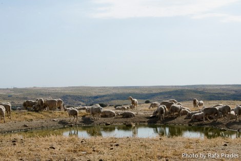 Finca Bando del Monte