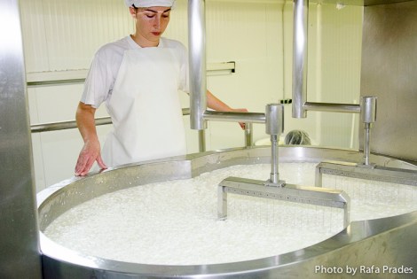 Corte mecánico de la leche cuajada