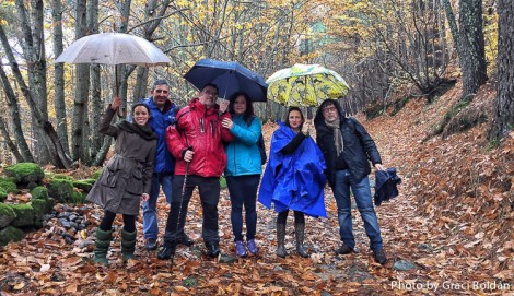 Castañar Puerto de Santa Clara