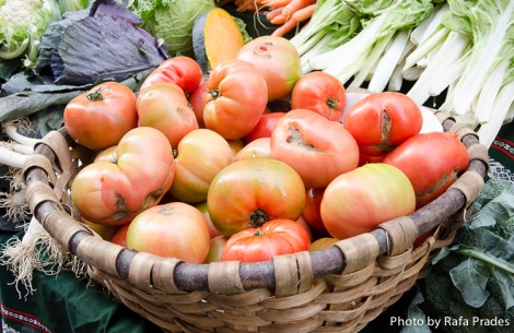 Tomates de huerta en el mercado de Tolosa (Guipúzcoa)